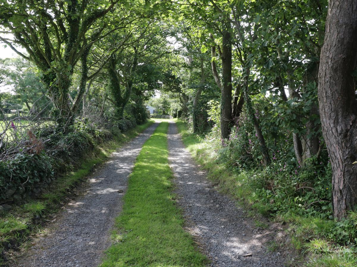 Bodegri Cottage Llanfflewyn Екстериор снимка